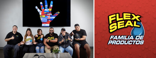 Familia de productos